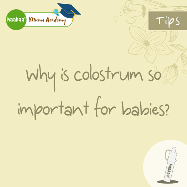 Why is colostrum so important for babies?